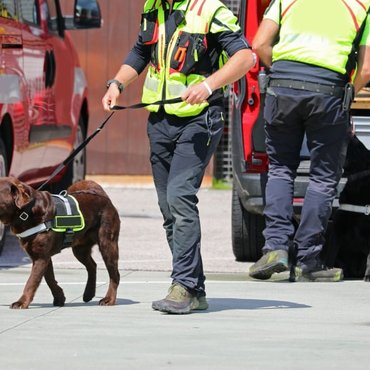 K9-unit-working