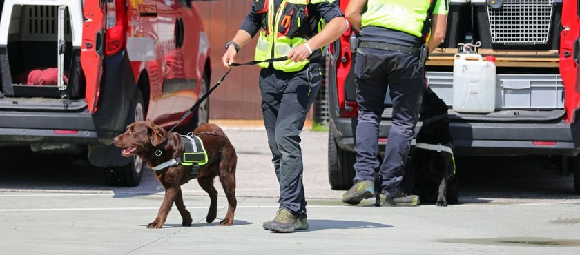 K9-unit-working