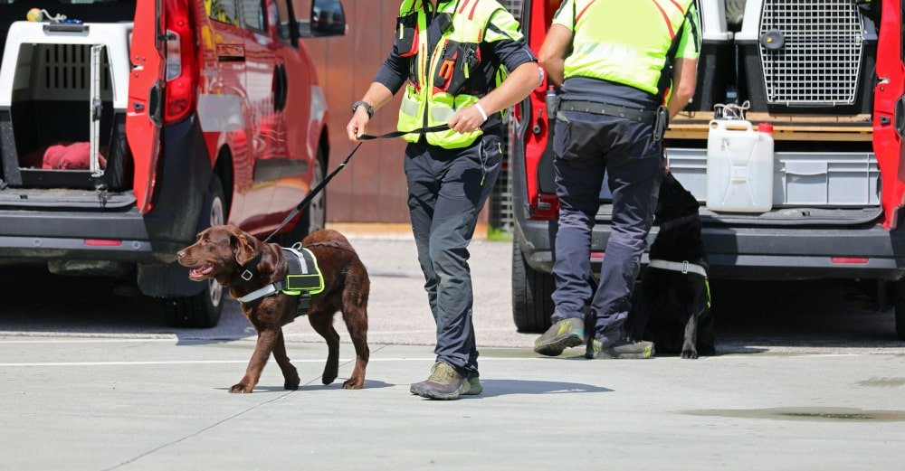 K9-unit-working