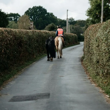 horse-and-rider-on-road-dui-law-ontario